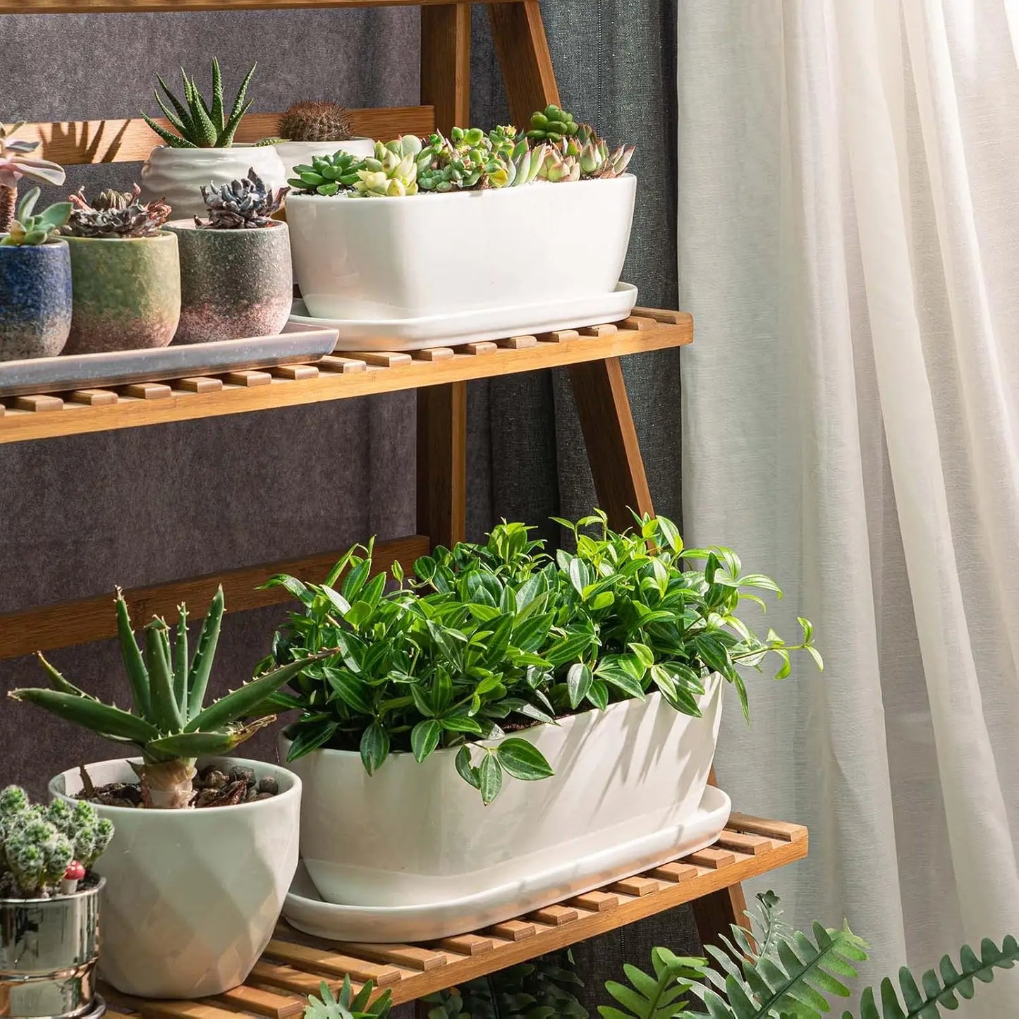 Ceramic Plant Pots Set of 2, 11+14 Inch with Drainage Holes and Saucers