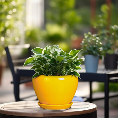 6 Inch Modern Yellow Ceramic Plant Pot with Drainage Hole and Saucer