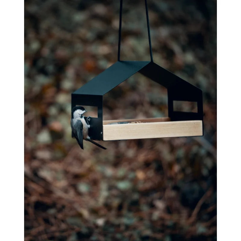 Metal house Modern bird feeder