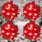 4 pieces of solar Christmas flowers