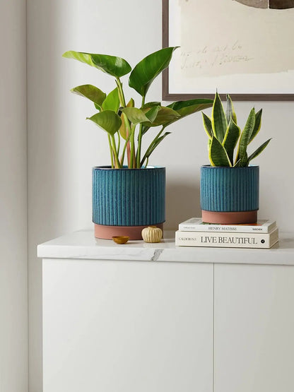 Set of 3 Ceramic Plant Pots with Drainage Holes, 8+6.7+5.5 Inch