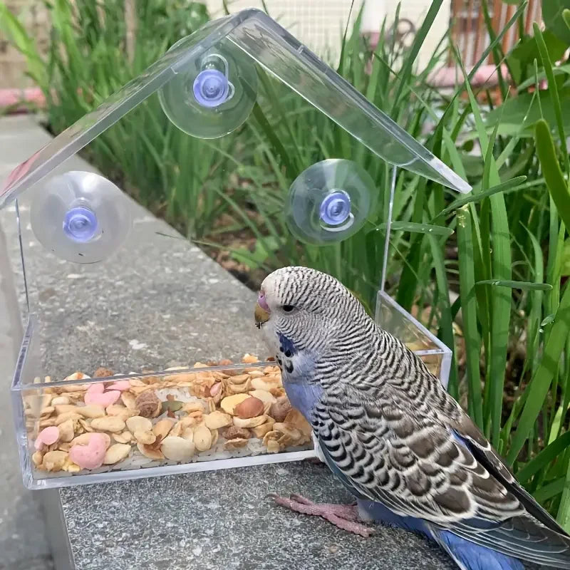 Transparent Bird Feeder for Outdoor Window with Strong Suction Cups