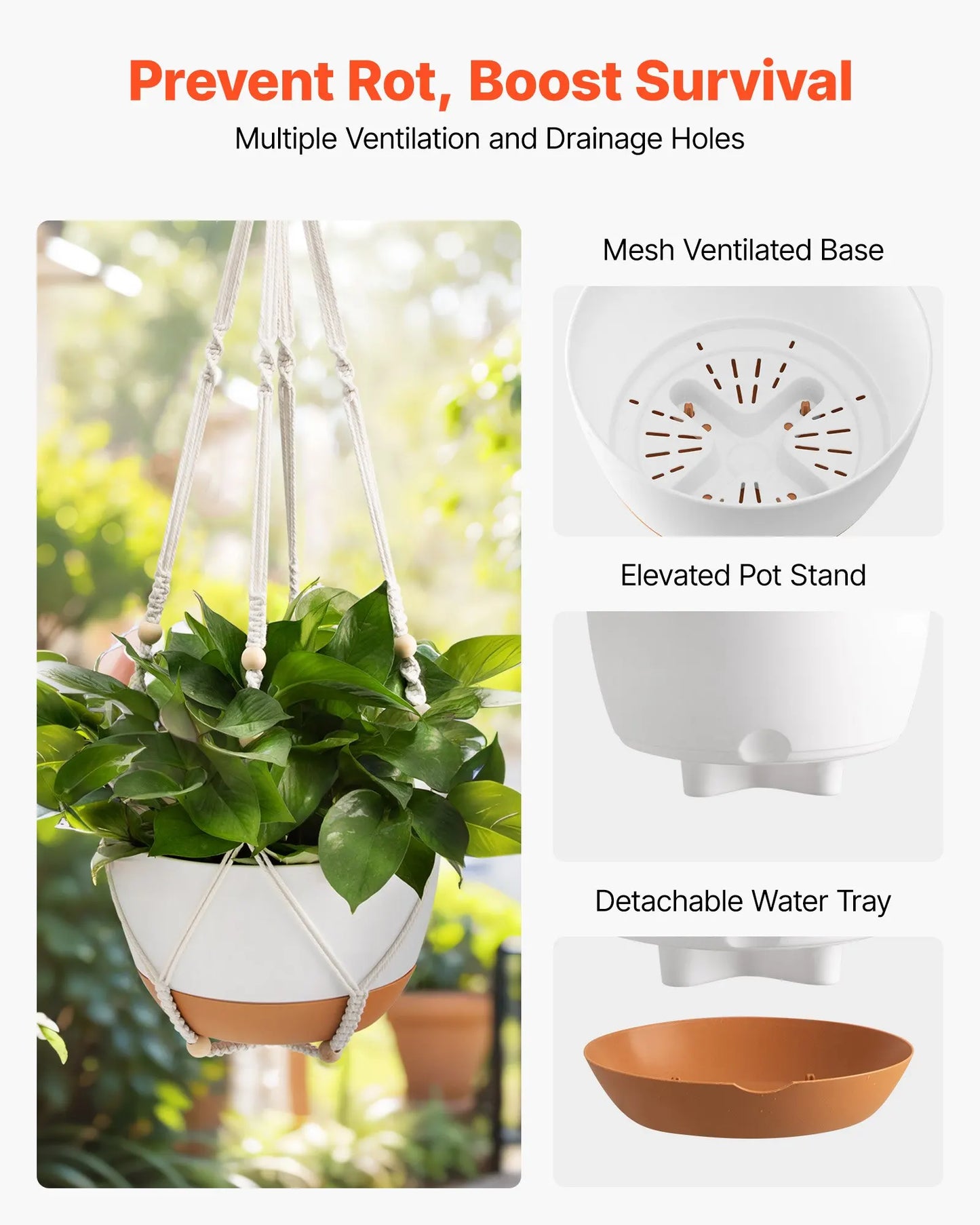 Hanging 10 Inch Self-Watering Flower Pot 2 Pack Indoor & Outdoor