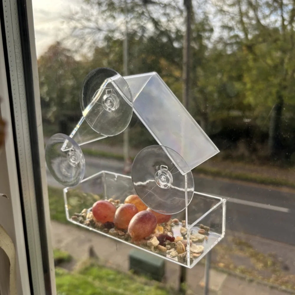 Transparent Bird Feeder for Outdoor Window with Strong Suction Cups