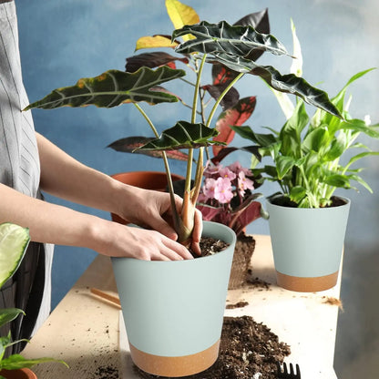 Self Watering Plant Pots 7/6.5/6/5.5/5 Inch with Drainage Holes