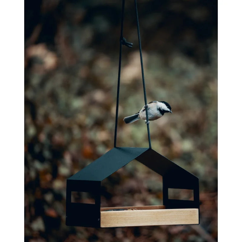 Metal house Modern bird feeder