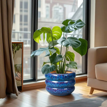 Ceramic 10 Inch Indoor Outdoor Planter with Drainage Hole