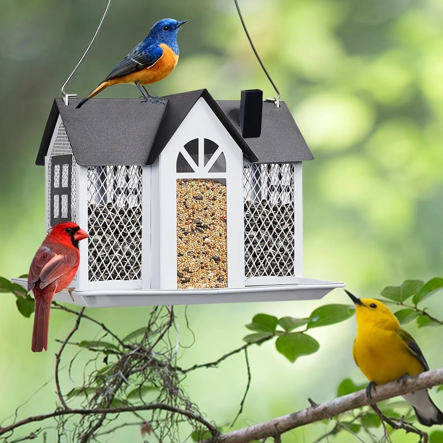 metal mesh wild bird feeder