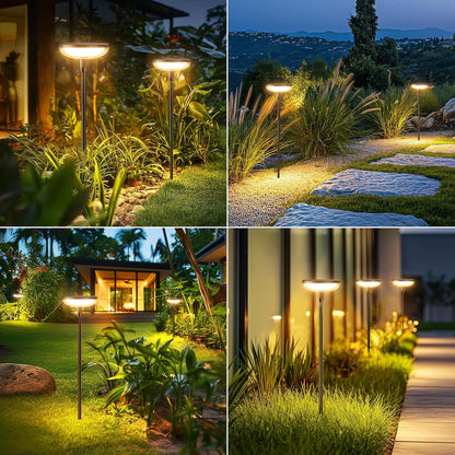 6Pack Solar Garden/Path Lights