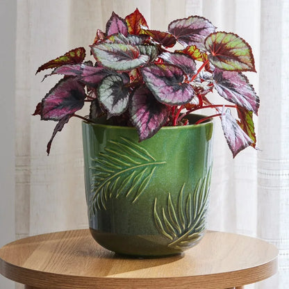 8-Inch Ceramic Planter with Botanical Design