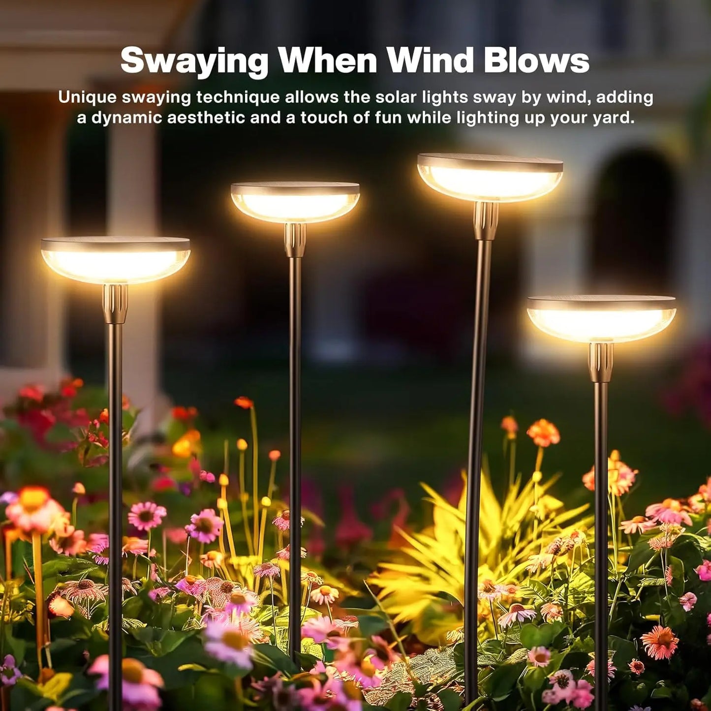 6Pack Solar Garden/Path Lights
