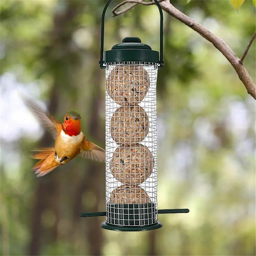 Outdoor Bird Feeder