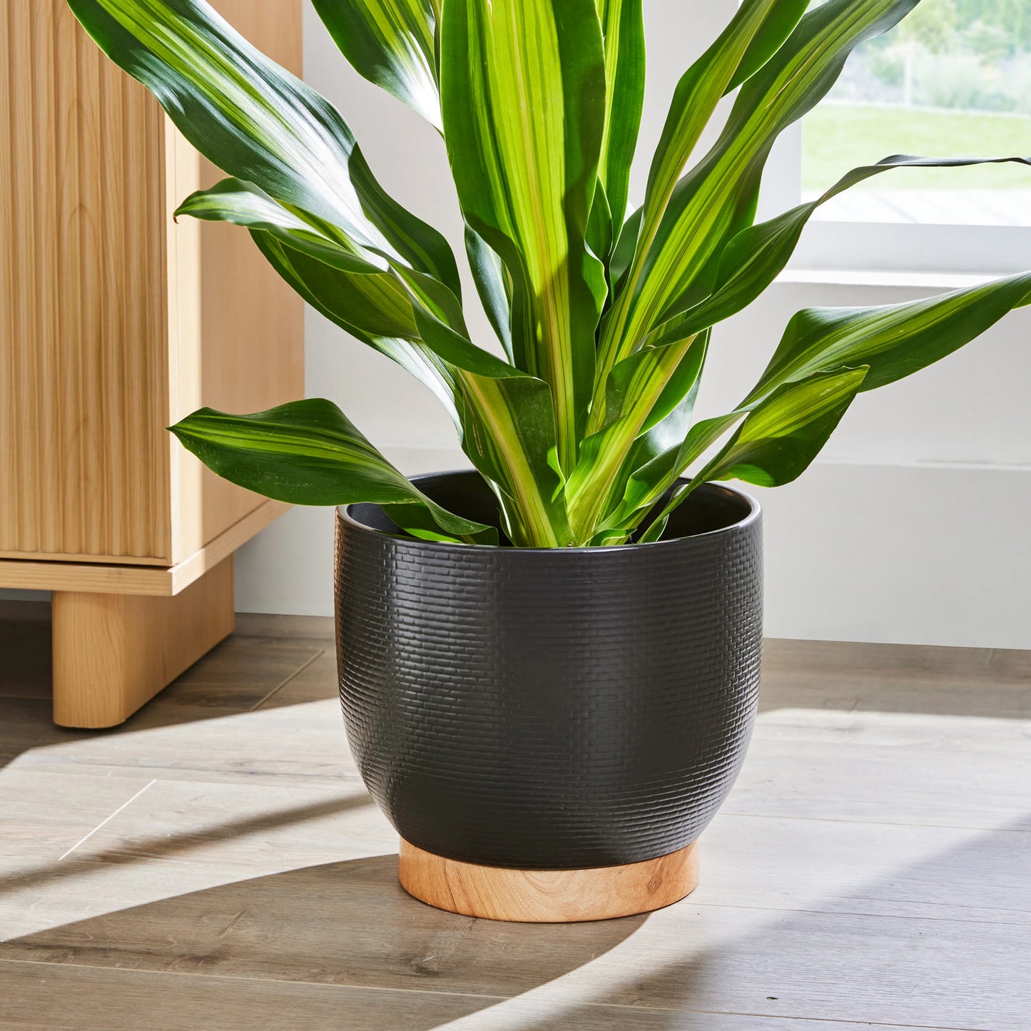 10 inch black ceramic planter with woven texture and modern design