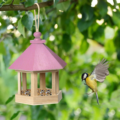 Hanging Bird Feeder