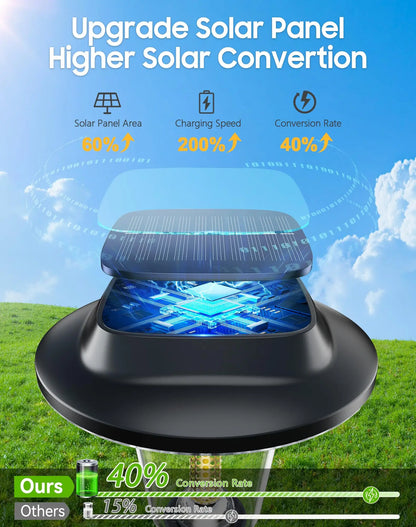 Solar Pathway Lights