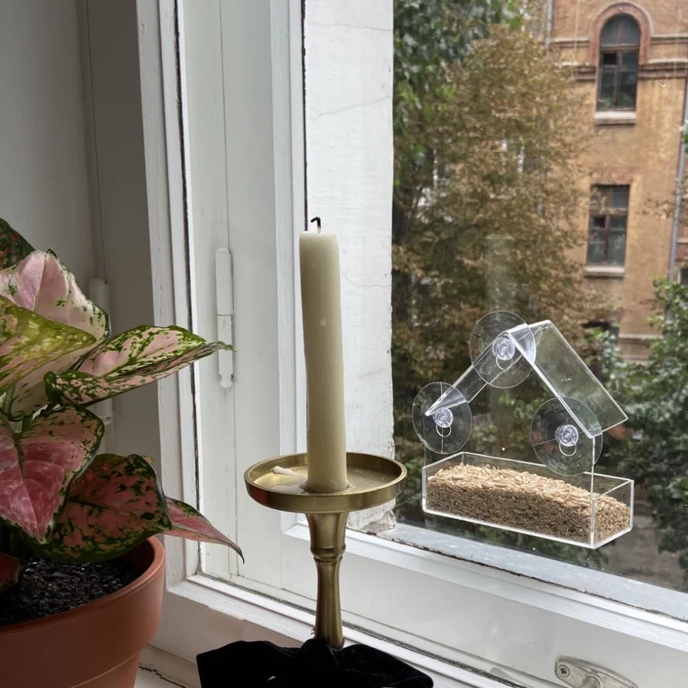 Transparent Bird Feeder for Outdoor Window with Strong Suction Cups