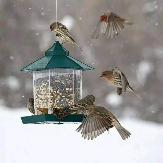 Wild Bird Feeders for Outside Rust Proof Hanging Feeders