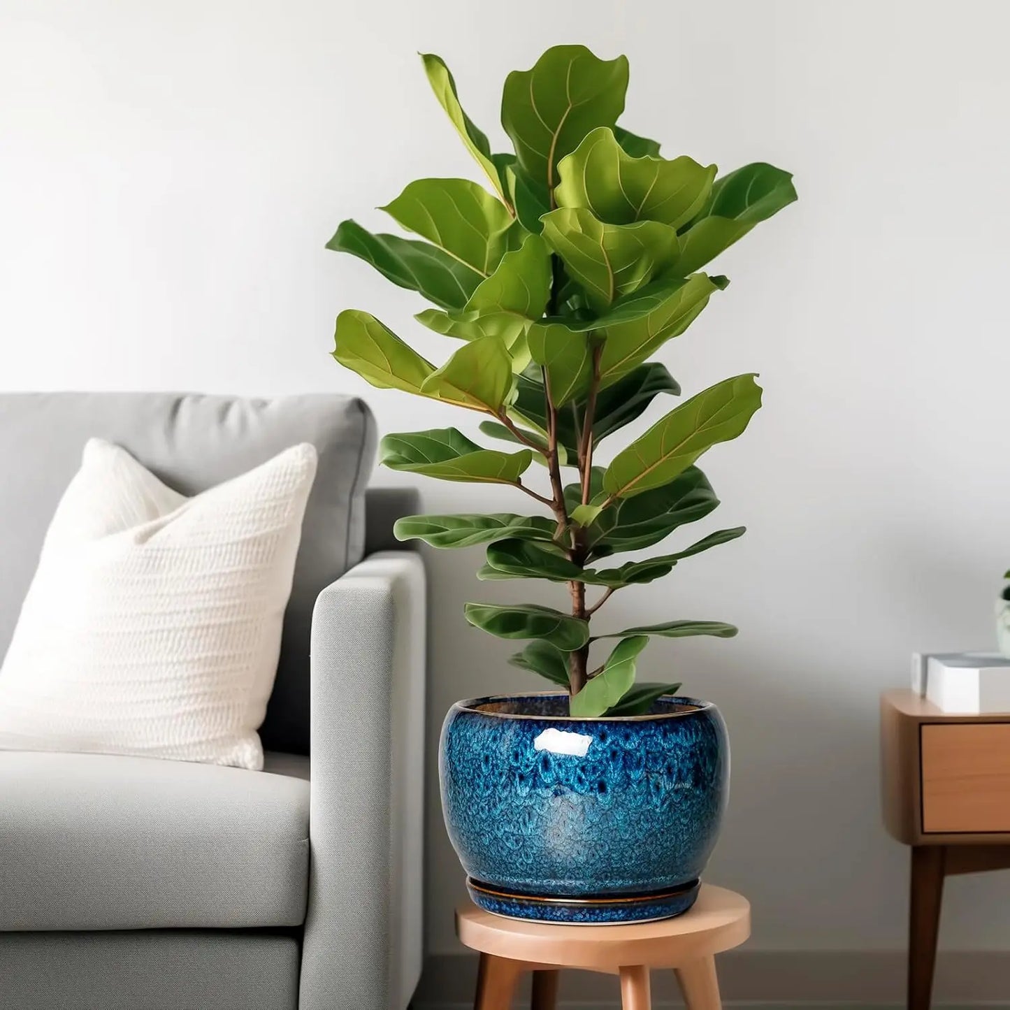 10 Inch Ceramic Planter Pot with Drainage Hole and Sauce