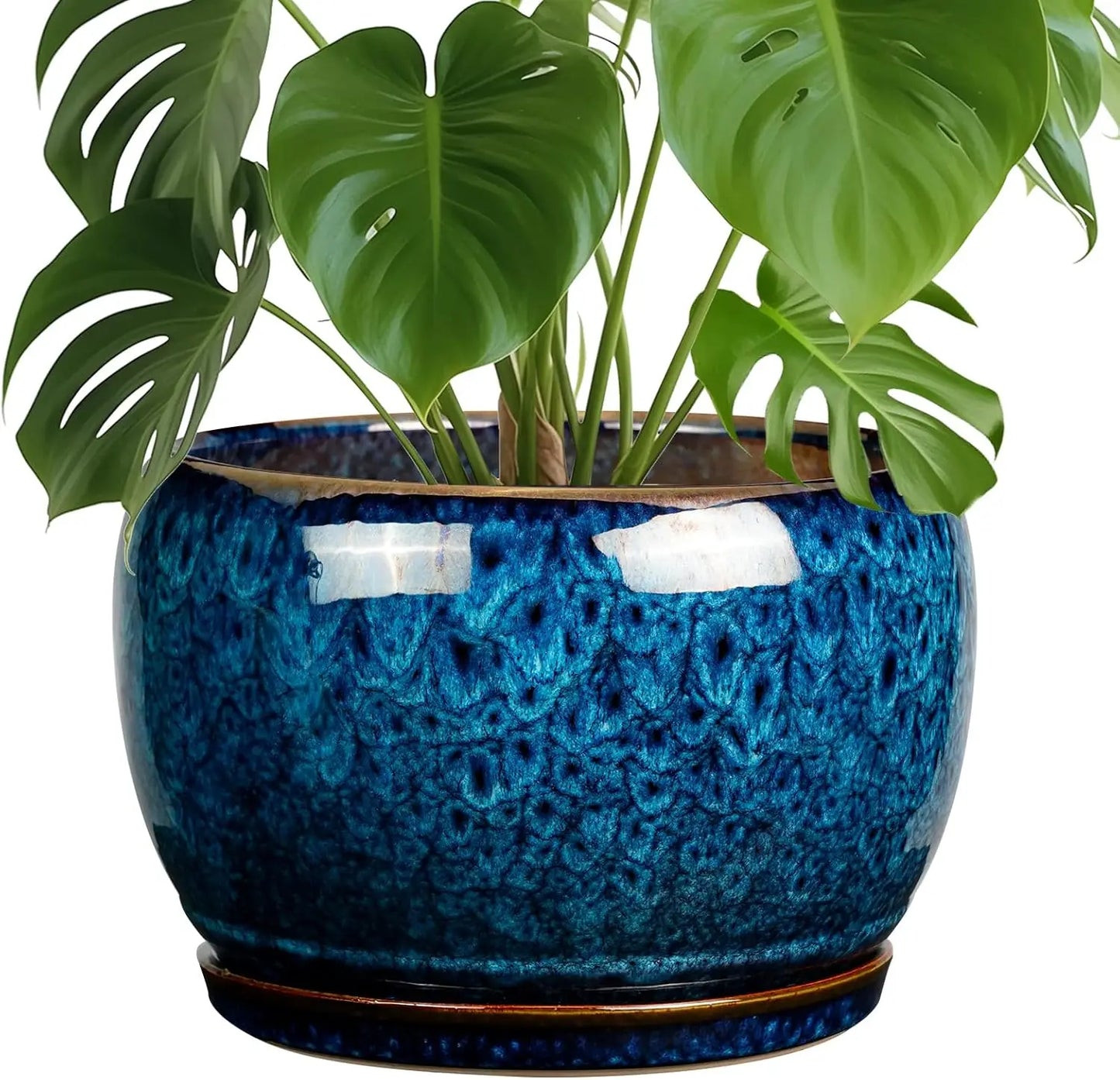 10 Inch Ceramic Planter Pot with Drainage Hole and Sauce