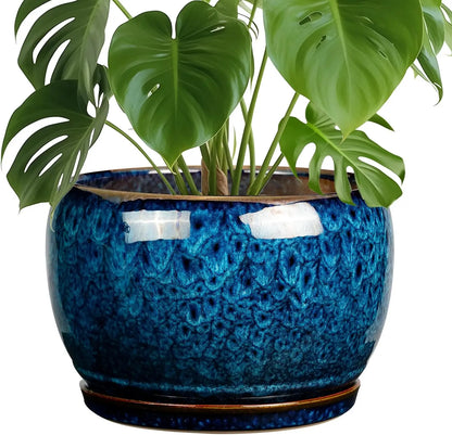 10 Inch Ceramic Planter Pot with Drainage Hole and Sauce