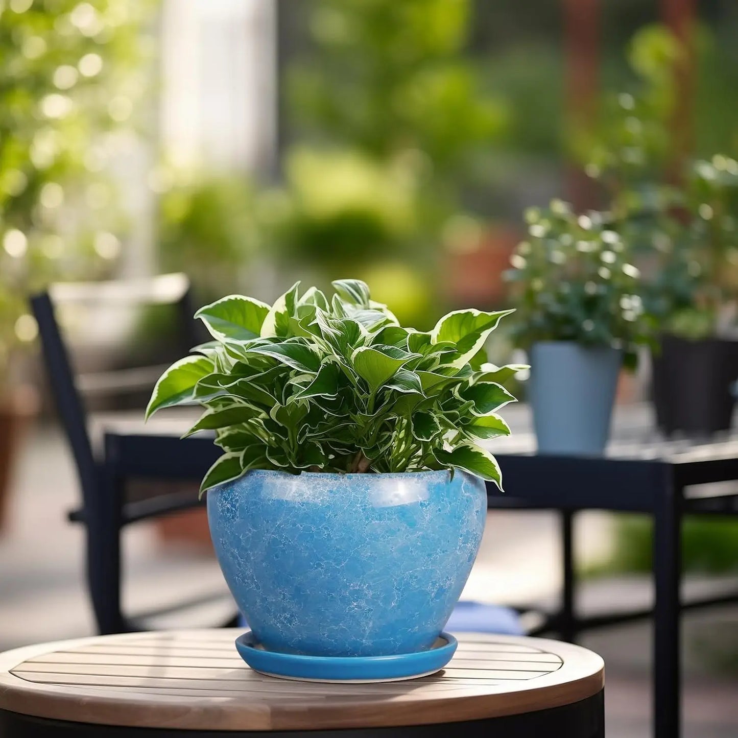 6 Inch Ceramic Plant Pot with Drainage Hole & Saucer