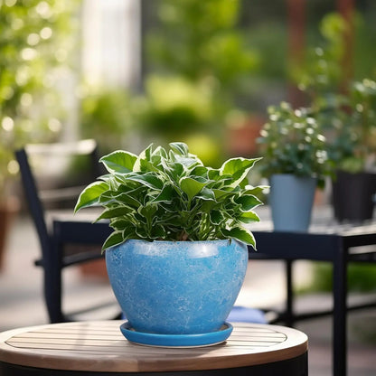 6 Inch Ceramic Plant Pot with Drainage Hole & Saucer