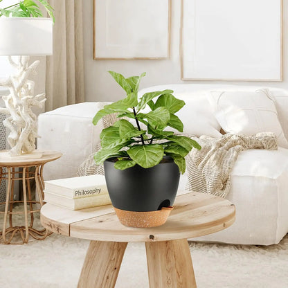 5-Pack Self Watering Plant Pots with Drainage Holes