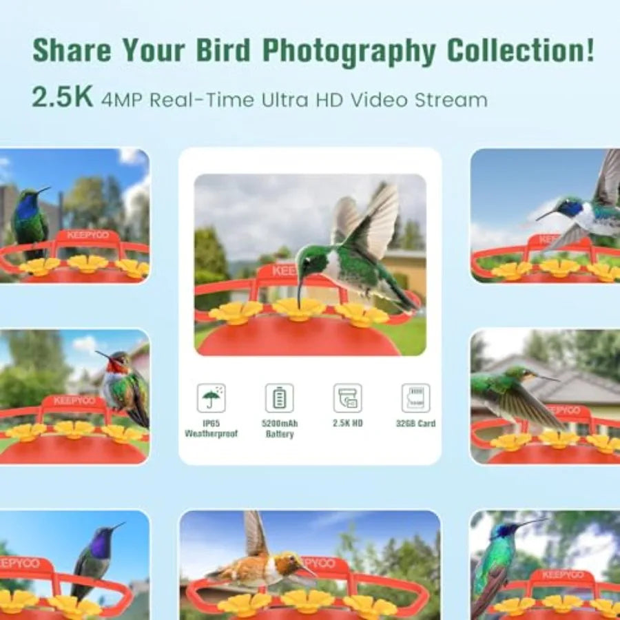 2.5K Wireless Smart Hummingbird Feeder with Camera AI Bird Identify Instant Notification