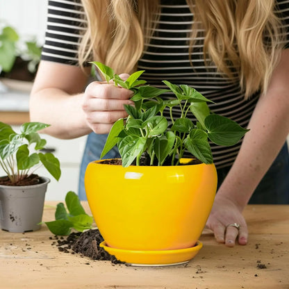 6 Inch Modern Yellow Ceramic Plant Pot with Drainage Hole and Saucer
