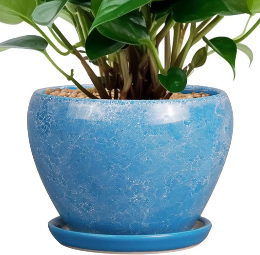 6 Inch Ceramic Plant Pot with Drainage Hole & Saucer