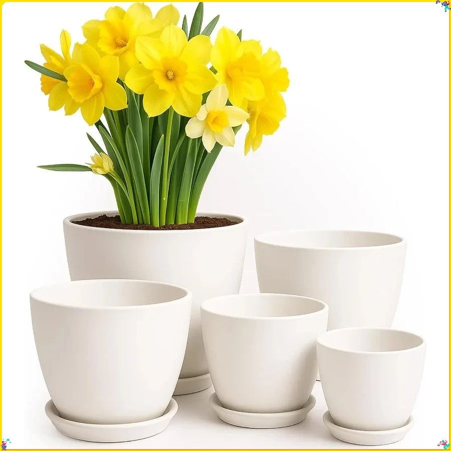 5 Pack White Plastic Plant Pots with Drainage