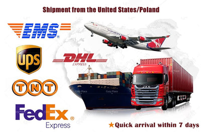 24 Inch Pre-Lit Traditional Wreath