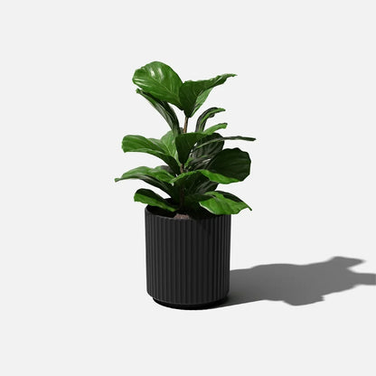 12 Inch Round Weather Resistant Lightweight Fluted Plastic Pot with Drainage Holes