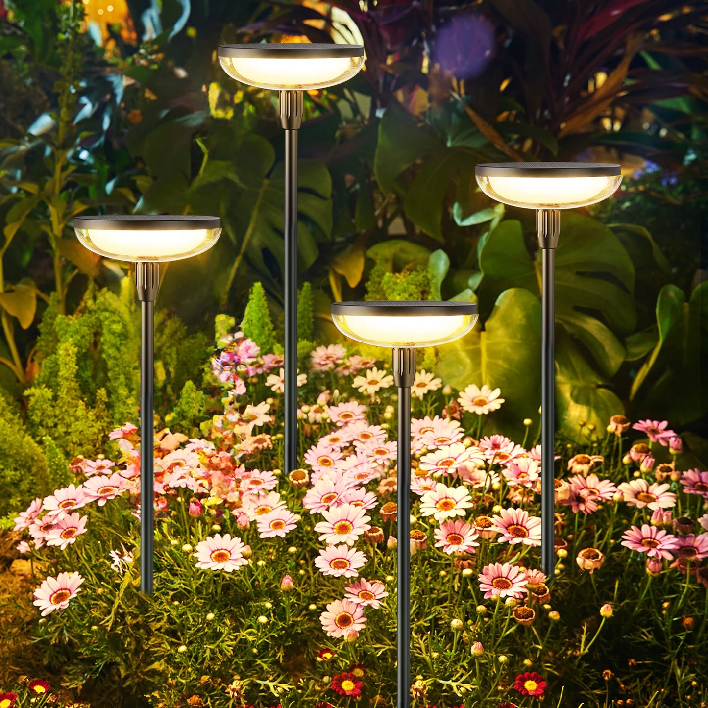 6Pack Solar Garden/Path Lights