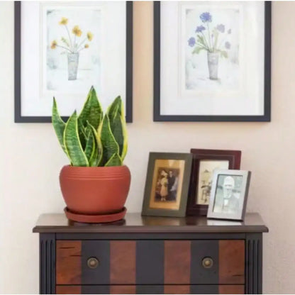 8 in.  Brick Red Ceramic Planter