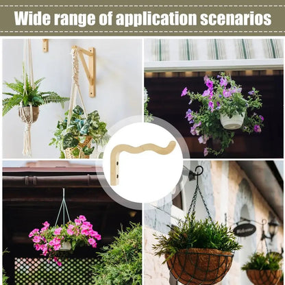 Natural Wood Wall Plant Hanger