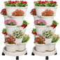 2 Pack Stackable 5-Tier Vertical Garden Planter