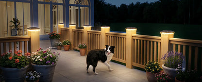 6/12 Pack Solar Post Cap Lights with 3 Modes