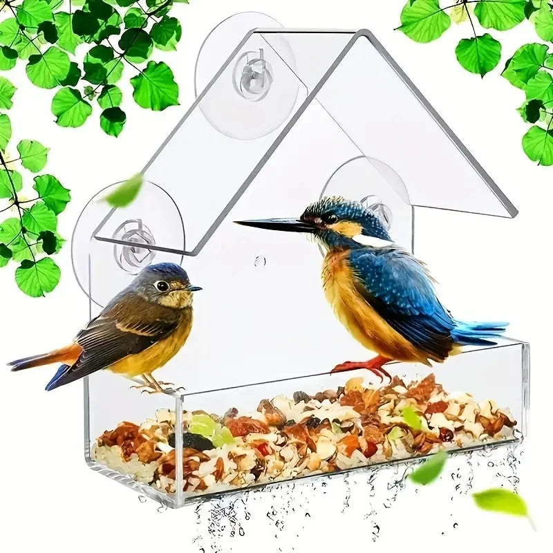 Transparent Bird Feeder for Outdoor Window with Strong Suction Cups