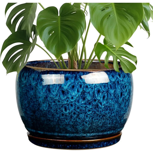 10 Inch Ceramic Planter Pot with Drainage Hole and Sauce