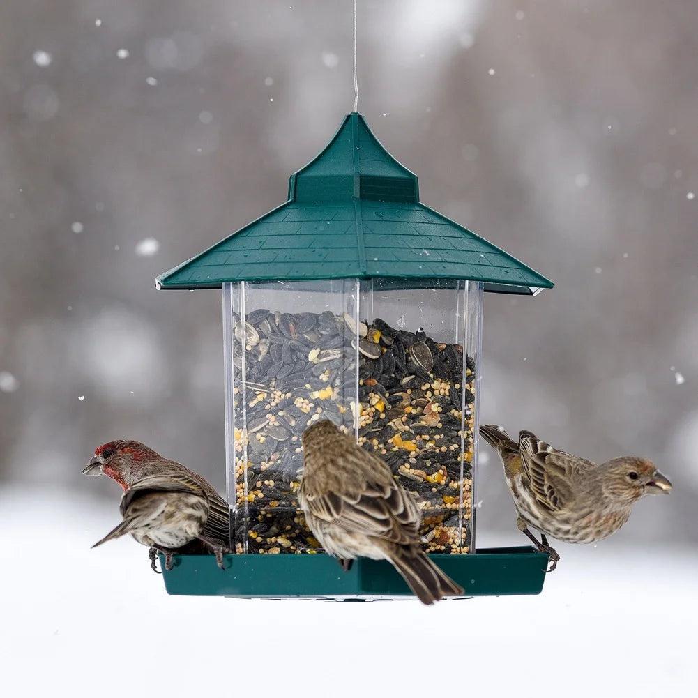 Wild Bird Feeders for Outside Rust Proof Hanging Feeders