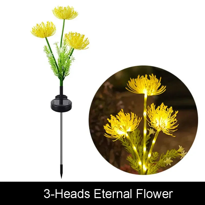 Decorative LED Solar Lights