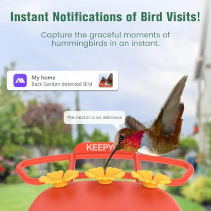 2.5K Wireless Smart Hummingbird Feeder with Camera AI Bird Identify Instant Notification