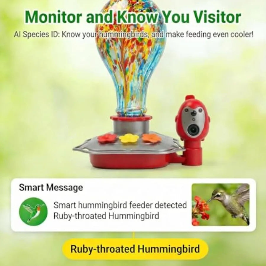 Smart Glass Hummingbird Feeder with Solar Powered Camera