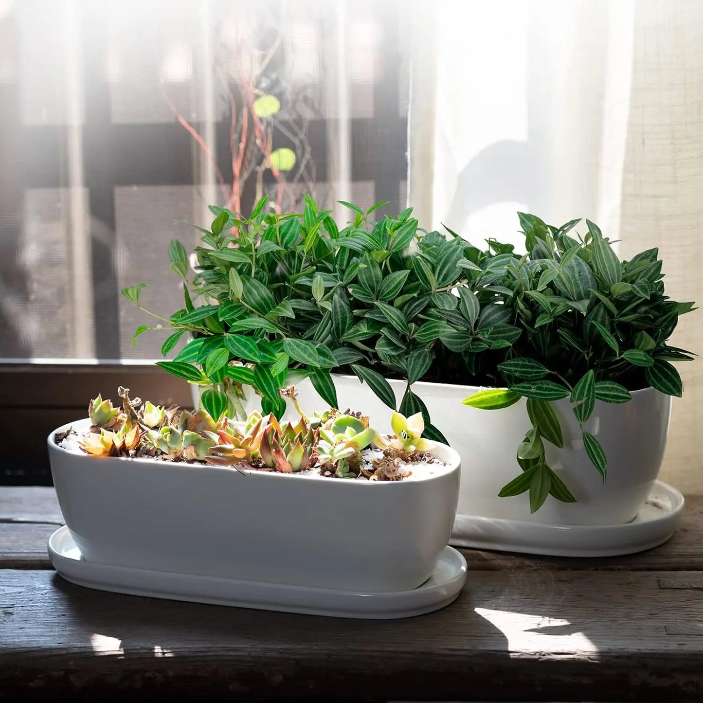 Ceramic Plant Pots Set of 2, 11+14 Inch with Drainage Holes and Saucers