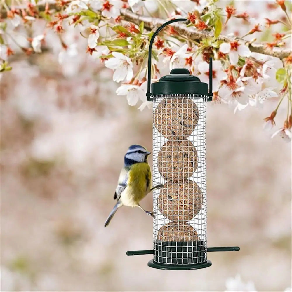 Outdoor Bird Feeder